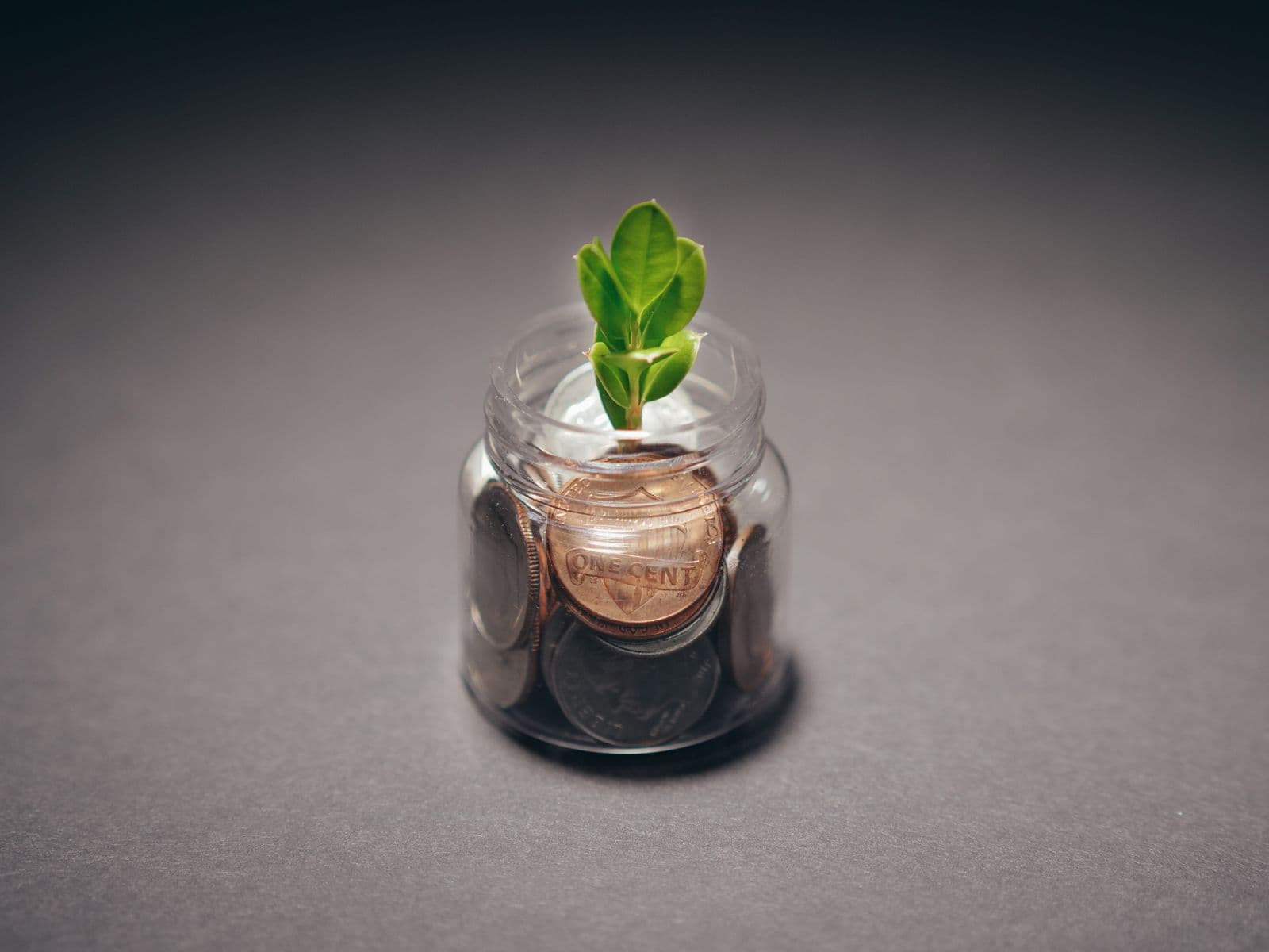 Plante verte poussant dans un bocal rempli de pièces